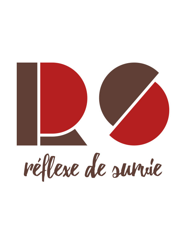 Célia RATTO, Graphiste multimédia à Annecy - Haute-Savoie - Région Rhône Alpes. Design Graphique, Illustration, Web et Vidéo : Don du Son, espace culturel à Dijon. Création de logo.