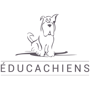 Célia RATTO | Graphisme, Illustration et Sérigraphie | Références clients | Éducachiens - éducation canine, garde d'animaux et ostéopathie en Haute-Savoie