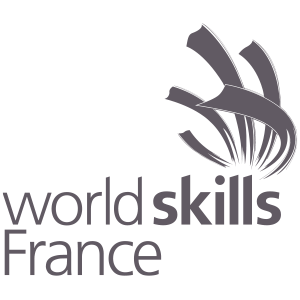 Célia RATTO | Graphisme, Illustration et Sérigraphie | Références clients | WorldSkills France avec le Studio Ellair à Chambery